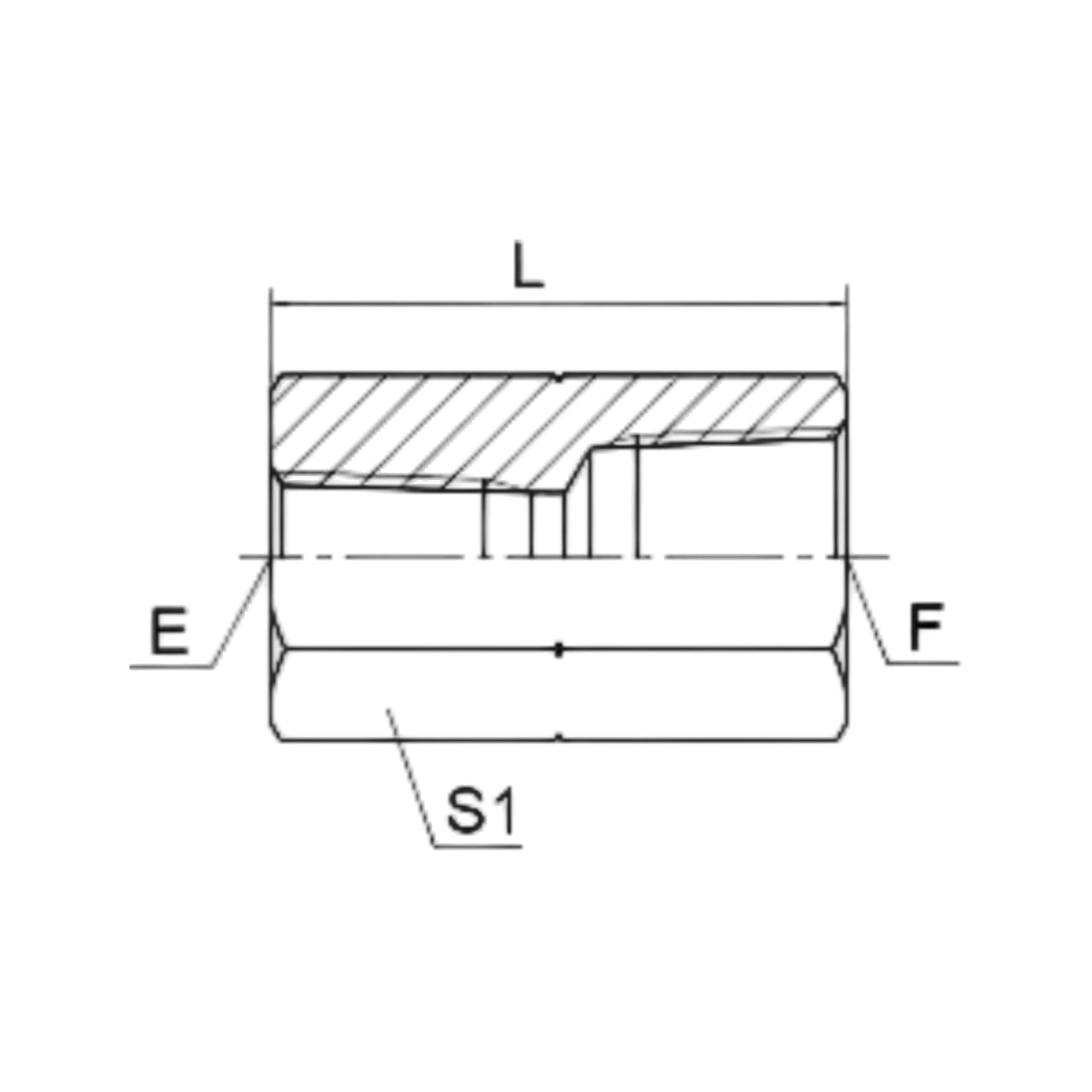 7T BSPT HEMBRA